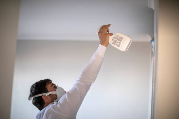 Best Commercial Mold Removal  in Canyon Lake, TX