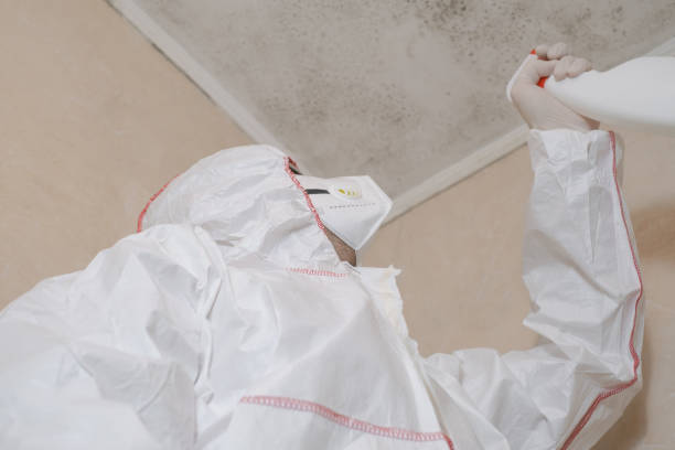 Best Mold Remediation  in Canyon Lake, TX